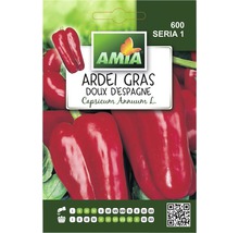 Pachet de semințe de ardei gras Amia Ardei