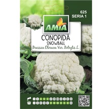 Pachet de semințe de conopidă Conopida Snowball