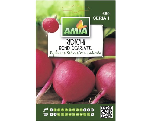 Semințe legume Amia ridichi rotunde