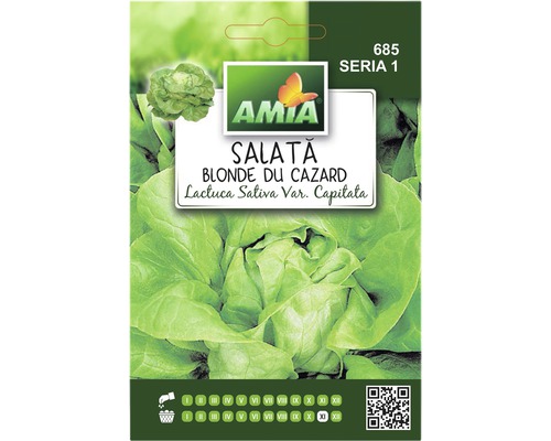 Semințe de salată blonde du Cazard Amia-0