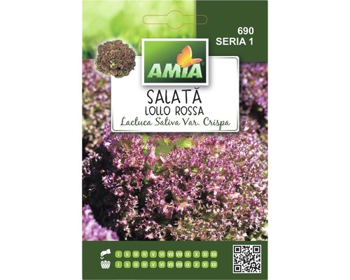 Semințe de salată Amia Lollo Rossa