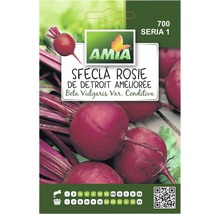 Semințe legume Amia sfeclă roşie
