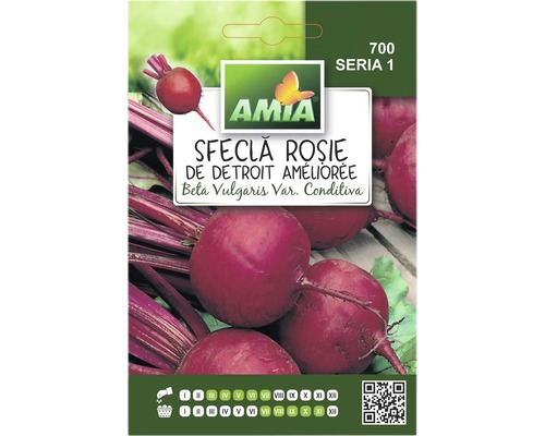 Semințe legume Amia sfeclă roşie