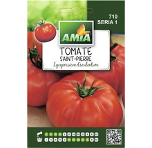 Semințe legume Amia tomate Saint-Pierre