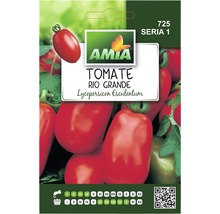 Semințe legume Amia tomate Rio Grande