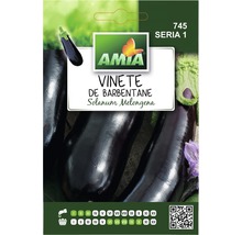 Pachet de semințe pentru vinete din soiul Barbentane