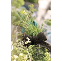 Bandă iută decorativă Floraself 6 cm x 3m bej