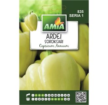 Semințe legume Amia ardei Soroksary