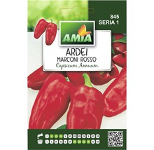 Pachet de semințe de ardei gras Amia Ardei Marconi Rosso