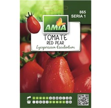 Semințe legume Amia tomate Read Pear
