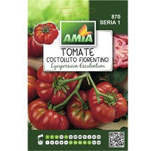 Semințe legume Amia tomate Fiorentino