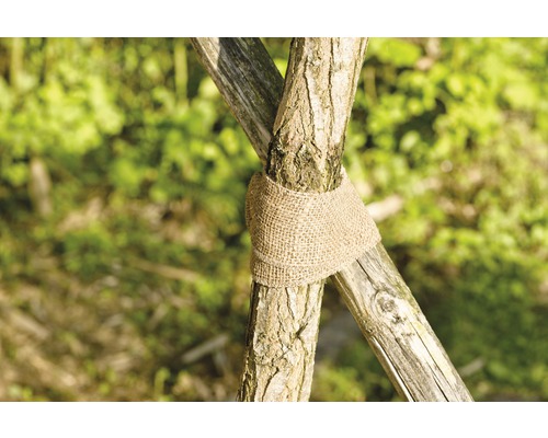 FloraSelf Bandă pentru protecție trunchi, din iută, 10 cm x 25 m Suport de copac cu bandă de iută