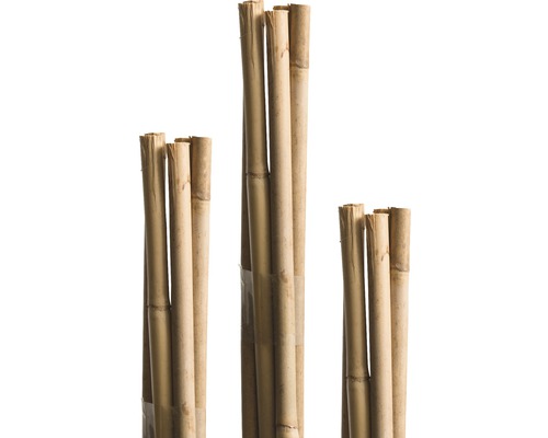 Arac din bambus FloraSelf h 120 cm Ø 8 mm maro 10 buc