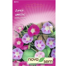 Semințe flori Novasem zorele amestec-thumb-0