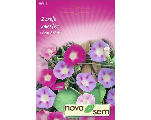 Semințe flori Novasem zorele amestec-0