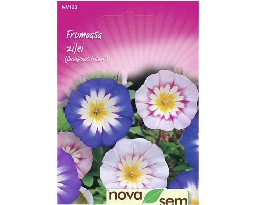 Semințe flori Novasem frumoasa zilei-0