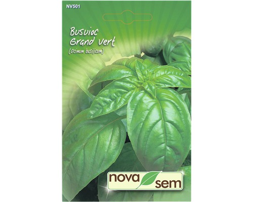 Semințe de busuioc verde Novasem-0
