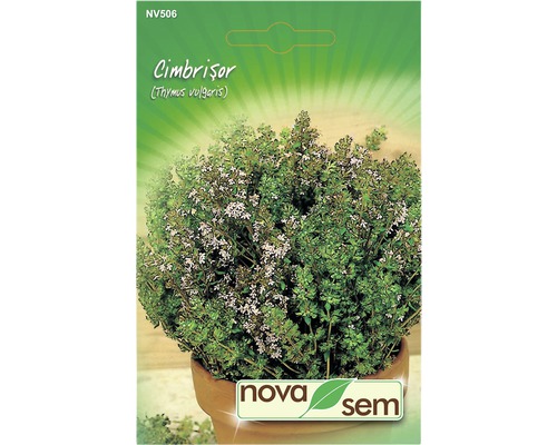 Semințe de cimbrișor Novasem Semințe de cimbrișor Novasem