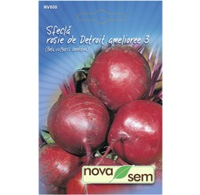 Semințe legume Novasem sfeclă roșie