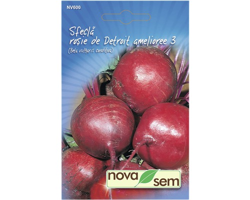 Semințe legume Novasem sfeclă roșie