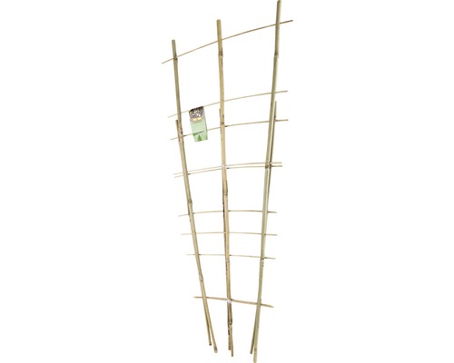 Set arcade din bambus pentru plante cățărătoare FloraSelf h 60 + 85 cm 2 buc