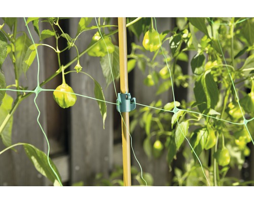 Plasă de susținere pentru plante cu tijă de bambus și clemă de fixare pentru susținerea plantelor