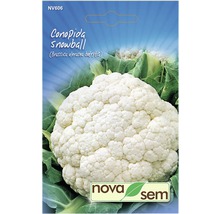 Pachet de semințe de conopidă Conopida Snowball