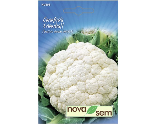 Semințe legume Novasem conopida albă