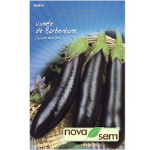 Semințe legume Novasem de vinete Barbentane-thumb-0