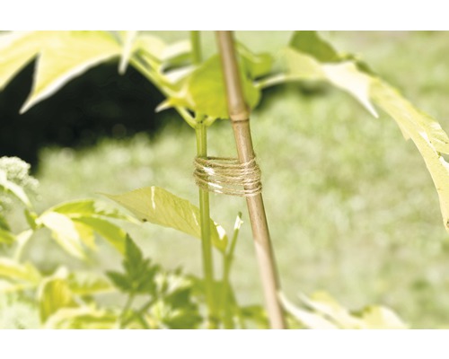 Suport de plante din bambus cu sfoară de iută pentru fixarea de o plantă