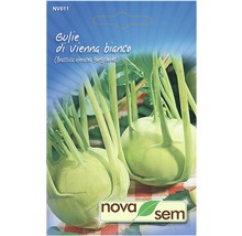Semințe legume Novasem gulie albă-thumb-0