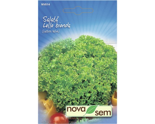Semințe de salată Novasem Lollo Bionda