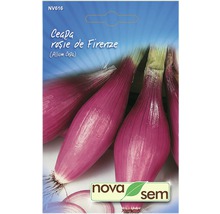 Semințe legume Novasem ceapă roșie de Firenze Novasem-thumb-0