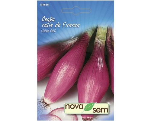 Semințe legume Novasem ceapă roșie de Firenze Novasem