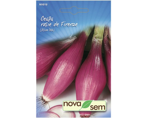 Semințe legume Novasem ceapă roșie de Firenze Novasem Semințe legume Novasem ceapă roșie de Firenze Novasem