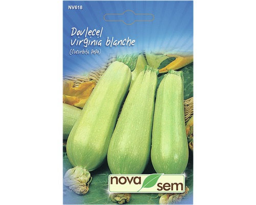 Semințe legume Novasem dovlecel alb Blanco de Virginia