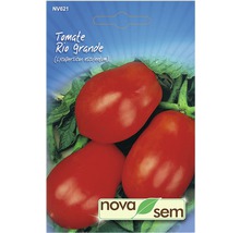 Semințe legume Novasem tomate Novasem Rio Grande-thumb-0