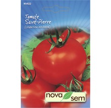 Semințe legume Novasem tomate Saint Pierre