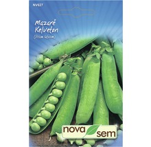 Semințe legume Novasem mazăre-thumb-0