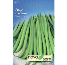 Semințe legume Novasem fasole Contander-thumb-0