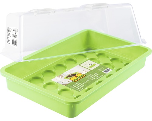 Tavă de germinare din plastic cu capac transparent