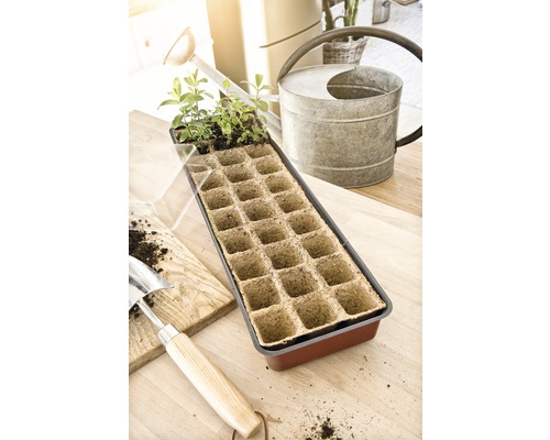 Tavă de însămânțare cu plante tinere, stropitoare și plantator pe o masă
