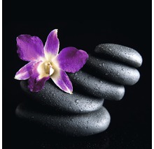 Tablou sticlă Stone 20x20 cm