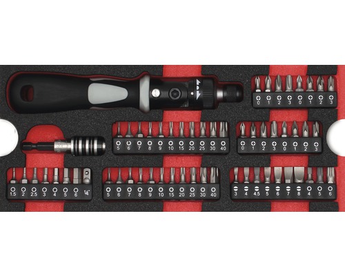 Set adaptoare biți 1/4" WGB 268x38x114mm, inserție pentru sertare, 58 piese Set șurubelnițe cu diferite biți
