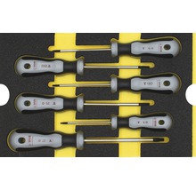Set de șase șurubelnițe cu profil Torx în cutie de depozitare