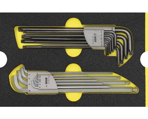 Set chei hexagonale și chei torx WGB 268x38x171mm, inserție pentru sertare, 2 piese