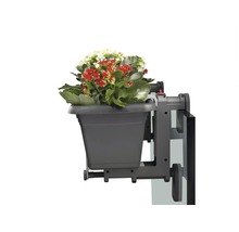 Jardinieră cu suport și plante pentru fixare pe balcon