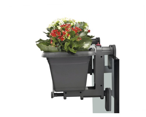 Jardinieră cu suport și plante pentru fixare pe balcon