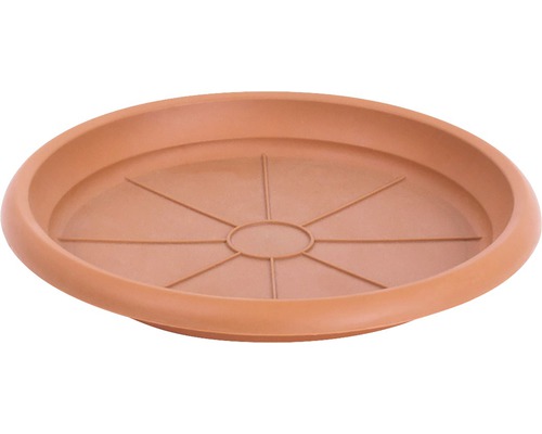 DAF gabi delgado 10枚セット Farfurie ghiveci Dalia plastic Ø 11,4 cm teracotă | HORNBACH
