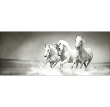 Tablou sticlă White Horses 30x80 cm